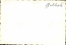 Photo Balbek Chameau