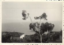 Photograph (nonlocalized)