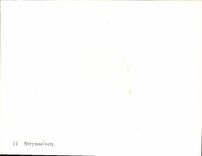 MODERN CARD Strynselven