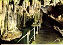 CPM Les Grottes De Betharram Les Champignons Renverses 