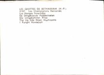 MODERN CARD the Caves De Betharram the Mushrooms Shifts