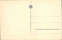 CPA Gorges du Tarn Castelbouc Vue d'Ensemble et le vieux chateau