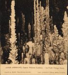 CPA Gorges Du Tarn Aven Armand Causse Mejean La Foret Vierge