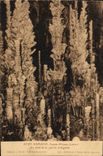 CPA Gorges Du Tarn Aven Armand Causse Mejean Au pied de la grande stalagmite
