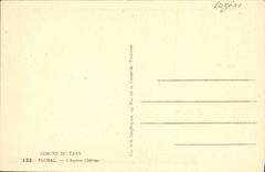 Gargantas de la POSTAL de la VENDIMIA del Tarn Florac el castillo viejo