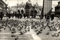 VINTAGE POSTCARD Venezia Piccioni in Piazza S Marco