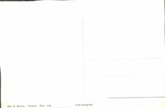 VINTAGE POSTCARD Venezia Piccioni in Piazza S Marco