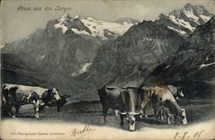 CPA Gruss Aus Des Bergen Vaches 