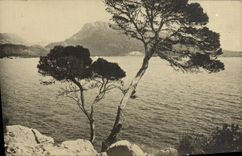 VINTAGE POSTCARD Fomental Pollensa Mallorca