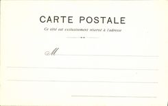 VINTAGE POSTCARD the Gulls has Geneva