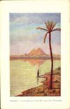 VINTAGE POSTCARD Cairo Innondation Off The Nile Near The Pyramids