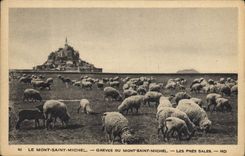 CPA Le Mont Saint Michel Greves Du Mont Saint Michel Les Pres Sales Moutons