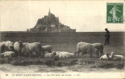 CPA Le Mont Saint Michel Les Pres Sales Des Greves Berger Moutons