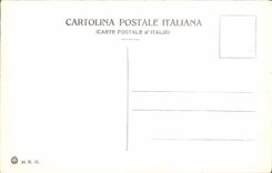 VINTAGE POSTCARD Pallanza Vista Dall' Insulated Veined Lago Maggiore