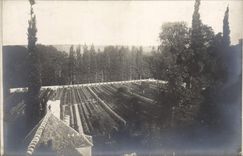 CARTE PHOTO Jardin 
