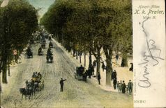 CPA Haupt Allee Prater Wien