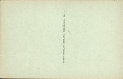 VINTAGE POSTCARD Camels with the Irrigation channel