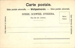 VINTAGE POSTCARD Chillon Dent du midi