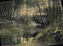 VINTAGE POSTCARD Im Walde Drill