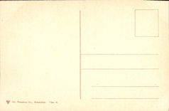 VINTAGE POSTCARD Valley of the Meuse Yvoir Landscape Cows