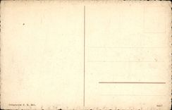 VINTAGE POSTCARD Geneva Seen of all the bridges and Mont Blanc