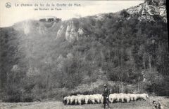CPA Le Chemin de Fer de la Grotte de Han Les rochers de la Faule Berger Moutons Chien 