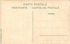 VINTAGE POSTCARD Schynige Platte Bahn elger Moch Und Jungfrau