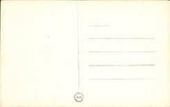 POSTAL Prahai Karluv de la VENDIMIA más