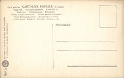 POSTAL Firenze Davide Di Michelanngelo Di Fronte de la VENDIMIA