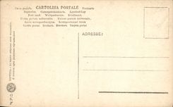 CPA Firenze Museo Nazionale Davide Donatello