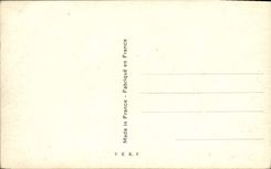 POSTAL Praga Novy Svet de la VENDIMIA