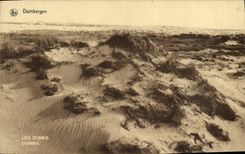 VINTAGE POSTCARD Duinbergen Dunes