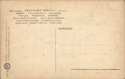 CPA Firenze Loggia Dei Lanzi Lion