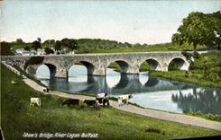 VINTAGE POSTCARD Shaw' S Bridge To rivet London Belfast