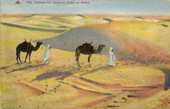 VINTAGE POSTCARD Passage Of the Sand Dunes Of Serves Camels