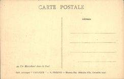 VINTAGE POSTCARD a Marabout In the South Camels