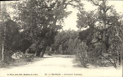 VINTAGE POSTCARD Barbizon Dormoir Lantara