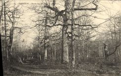 VINTAGE POSTCARD Barbizon Road Of the Artists