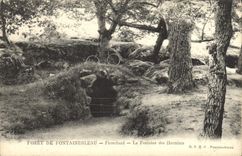 VINTAGE POSTCARD Fontainebleau Drill De Franchard the Fountain of the Hermits Bicycle