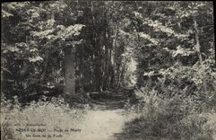 CPA Noisy Le Roi Foret de Marly un coin de la foret