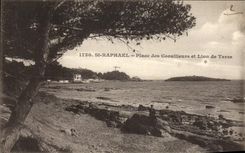 CPA Saint Raphael Place des Corailleurs et Lin de Terre