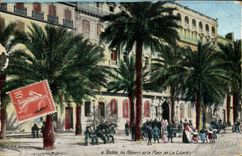 CPA Toulon Les Palmiers de la Place de la Liberte