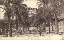 VINTAGE POSTCARD Toulon Allee from the Palm trees Places of Liberie