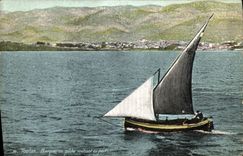 CPA Toulon Barque de Peche rentrant au port Bateau 