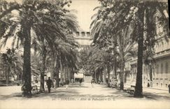 CPA Toulon Allee de Palmiers
