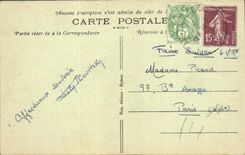 CPA Le Lavandou a Travers les Pins