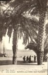 CPA Bandol Sur Mer Les Palmiers