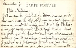 CPA Bandol Sur Mer Les Palmiers