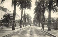 Avenida de Hyeres de la POSTAL de la VENDIMIA de las palmeras
