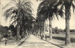 POSTAL Hyeres de la VENDIMIA ido de la avenida de Beauregard de las palmeras